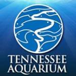 50% Off Tennessee Aquarium Coupon Codes for November 2022 ...