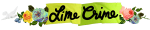 Lime Crime Coupon Codes & Deals 2022